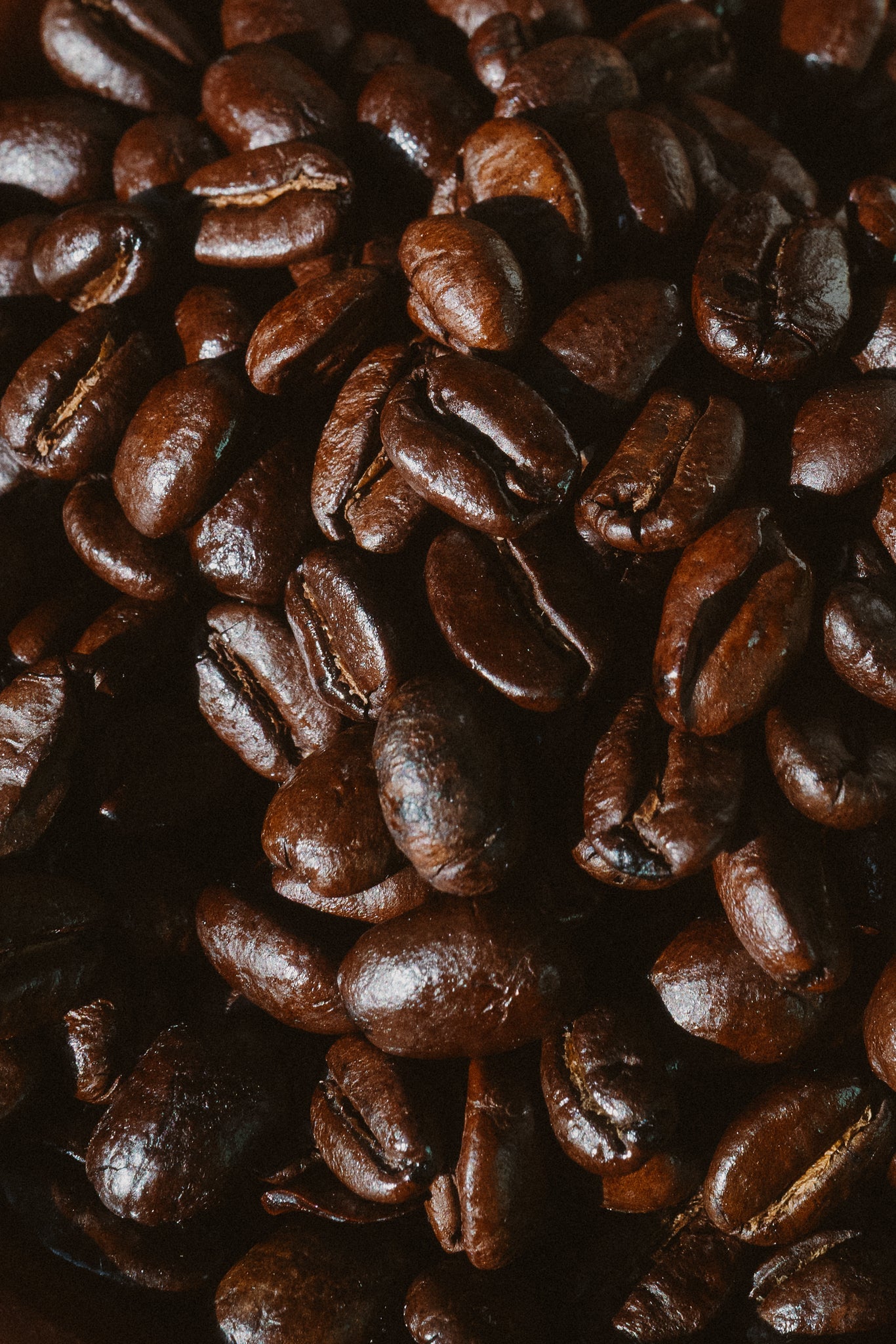 Tierra Granados Dark Roast Drip Bags