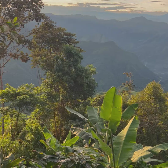 Nuestra Finca