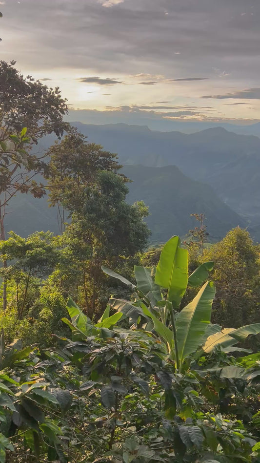 Nuestra Finca